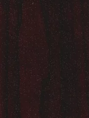 Black Cherry Renolit 3202 001